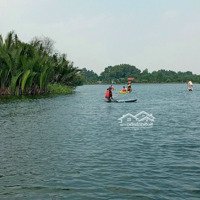 Mt Sông Phạm Thái Bường Đường Xe Hơi Đất Vườn Lọt Thỏm Kdc Giá 1. 5 Triệu/M