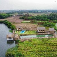 Mt Sông Phạm Thái Bường Đường Xe Hơi Đất Vườn Lọt Thỏm Kdc Giá 1. 5 Triệu/M