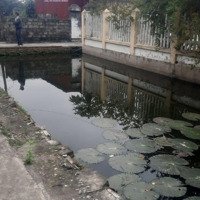 Giá Siêu Rẻ Chưa Đến 2 Tỷ Đồng Có Ngay Nhà Vườn Tại Tân Phong, Kiến Thuỵ, Hải Phòng