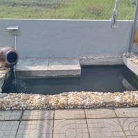 Kẹt Tiền Lắm Rồi Gọi Ngay Đi Đừng Nhắn Tin, Cần Bán Gấp Nhà Vườn 250Mv Nhà Mới Xây Đang Ở