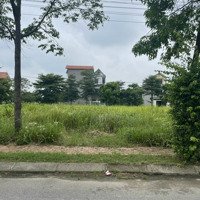 Trục Đường Cổng Chính Khu A Dự Án New City Phố Nối Một Siêu Phẩm Cực Đẹp Liên Hệ 0989.862.522