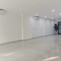 Cho Thuê Shophouse Mặt Đường Lê Trọng Tấn 120M X 5 Tầng