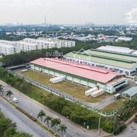 BÁN GẤP 3 000M2 ĐẤT GẦN KCN SHR GIÁ 160 TRIỆU BAO MỌI PHÍ SANG TÊN