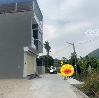 Bán Nhà Cấp 4 Xây Chắc Chắn Để Ở Thôn Quyết Tiến, An Lão, Hải Phòng. Diện Tích: 62,6M2, Ngang 6M