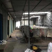 Cần Cho Thuê Đất Siêu Rộng 10.000M2 Tại Củ Chi Với Giá Chỉ 25 Triệu/Tháng