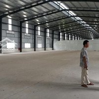 Cho Thuê Kho Xưởng Độc Lập 2200M2 Sát Kcn Tân Bình - Quận Tân Phú