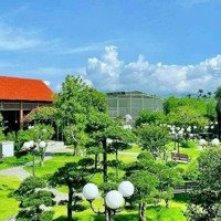 Giảm 20 Tỷ Bán Nhanh Khu Biệt Thự Hoà Ninh