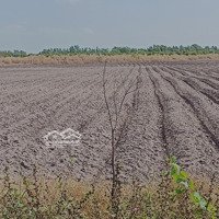 Cần Bán Gấp 4 Mẫu Đất Cln Ngay Sát Ubnd Xã Ninh Điền Châu Thành Tây Ninh, Mặt Tiền Đường Nhựa Rộng