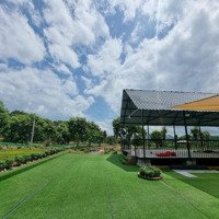 Bán Farm Rộng 14464 M2 Giá Rẻ Chỉ 410,000/M2 Tại Tỉnh Lộ 8 Diên Lâm Diên Khánh Khánh Hòa