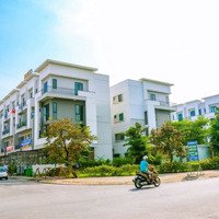 Chỉ 1,8 Tỷ Đã Sở Hữu Ngay Shophouse Chân Đế Chung Cư, Buôn Bán Sầm Uất