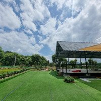 Bán Farm Đã Hoàn Thiện Rất Đẹp Tại Diên Khánh, Giá Rẻ Hơn Giá Đất Khánh Vĩnh
