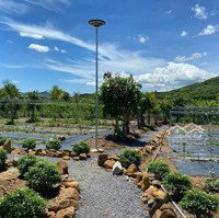 Bán Farm Đã Hoàn Thiện Rất Đẹp Tại Diên Khánh, Giá Rẻ Hơn Giá Đất Khánh Vĩnh