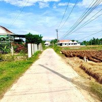 Bán Đất Xã Ninh Phú - Ninh Hoà