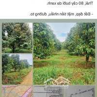 3841M2 Cfe Đẹp Bám 100M Đường & Suối: 150 Triệu Cả Lô.