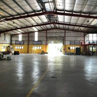 Trường Kho Xưởng Hưng Yên - Cho Thuê 3200M2 Có Pccc Nghiệm Thu. Giá 65.016Đ/M2/Th Cả Vat