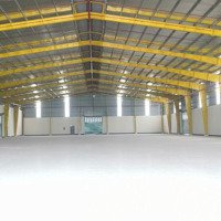 Cho Thuê Kho Xưởng Kcn Thuận Đạo,Dt: 10.500M2, Tt Bến Lức, Long An