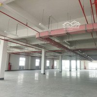 Cho Thuê Kho Xưởng 2000M2 -- 10.000M2 Kcn Long Hậu .H Cần Giuộc