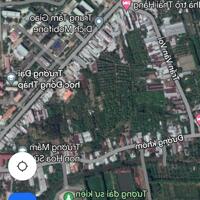 Đất nền phường 6 TPCL đường đan 1,5m xe máy chạy tới chỗ, cách đường Nguyễn Văn Voi 200m