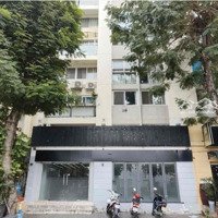 Cho Thuê Shophouse Khu Phú Mỹ Hưng , Phường Tân Phong , Quận 7