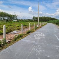 143M2 Thổ Cư Chỉ Với 379 Triệu. Đường Xe Con Vào Tận Nơi.gần Kcn,Sổ Sẵn