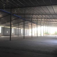 Chính Chủ Cho Thuê Gấp Kho Tại Lê Trọng Tấn Hà Đôngdiện Tích300M2 - 500 - 1000 - 5000M2. Xưởng Mới Dựng