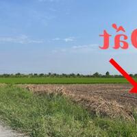 2,2 công đất thổ - vườn – đường ôtô gần KDL Sinh Thái Vườn Xanh, Thị Trấn Vàm Láng, Gò Công Đông, TG