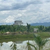 Bán Nhà Yến 15.000M2 Có Sẵn Vườn Trái Cây Sầu Riêng, Mít, Dừa... Gần Trung Tâm Huyện Khánh Vĩnh