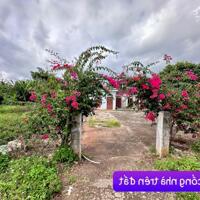 Lên Look 7 lô Tam Giang, Krông  Năng, Đắk Lắk có nhà vườn cây ăn trái