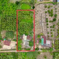 Lên Look 7 lô Tam Giang, Krông  Năng, Đắk Lắk có nhà vườn cây ăn trái