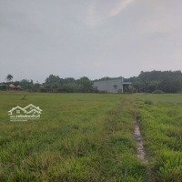 Bán Đất Làm Vườn Giá Rẻ Tại Tx Trảng Bàng, Tây Ninh