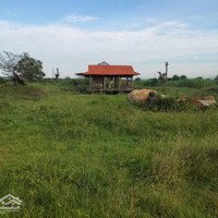 Cần Bán ~11Ha Đất Cây Lâu Năm Rất Đẹp Xã Bình An Huyện Bắc Bình - Bình Thuận Giá Rẻ Cho Anh Chị