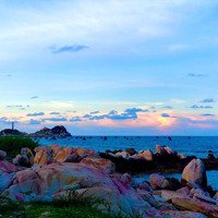 Cần Bán Resort View Biển - Tân Thành - Hàm Thuận Nam Bình Thuận Giá Rẻ Đầu Tư