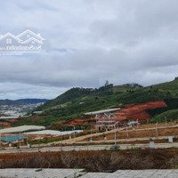 Langbiang Town - Bán Cắt Lỗ Lô Đất Siêu Đẹp, Vị Trí Trên Cao, View Toàn Bộ Khutrung Tâm Thương Mạigiá 21 Triệu/M2