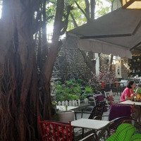 Cho Thuê Gấp Cafe Sân Vườn- 1500M- Đang Kinh Doanh-Khu Víp Tân Bình