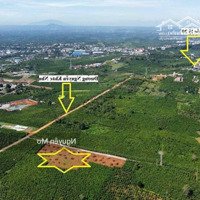 Bán Lô Đất Ngộp Bank 800M2 Tại Tp Bảo Lộc. 0353491195