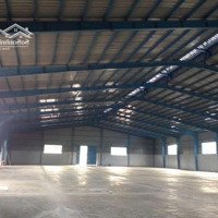 Cho Thuê Kho Sân Bãi 5.000M2 Mặt Tiền Đt868 Gần Ngã 4 Hưng Long-Cai Lậy-Tiền Giang0838.14.5656