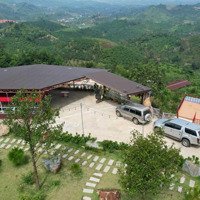 Cần Bán Căn Quinns Homestay Bảo Lộc Cách Tp Bảo Lộc 19Km Có 1 Khu Nghỉ Dưỡng 3* Săn Mây Tuyệt Đẹp