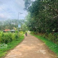 Cần Bán Đất 1000M2, Xã Đồng Tâm, Đồng Phú, Bình Phước