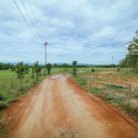 Gần Tết - Bán Lỗ Lô Đất Mặt Tiền Đường Liên Huyện Đi Sân Bay Và Mũi Né