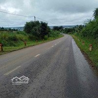 Đất Mặt Tiền Giá Rẻ Cách Thành Phố 1 Km