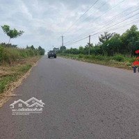 Cho Thuê Xưởng Có Hoàn Công 8325M2 Đông Hòa.trảng Bom. Đồng Nai Giá Rẻ