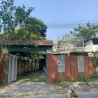 Cho Thuê Nhà Container Thiết Kế Sân Vườn Tại Định Hòa