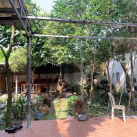 Cho Thuê Nhà Container Thiết Kế Sân Vườn Tại Định Hòa