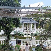 12Ty500 Trung Lập Hạ, Củ Chi - 34X60M = 2030M2 Biệt Thự Vườn Cực Đẹp - Mặt Tiền View Kênh