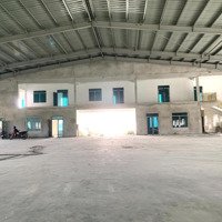 Cho Thuê Nhà Xưởng, Hải Hậu,Nam Định, Dt:10.000M2 , Phòng Cháy, Điện 3 Pha, Xe Coteno, 45 Nghìn/M2.