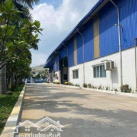 Cho Thuê Gấp Kho Xưởng 20,000 M2 Tại Khu Công Nghiệp Hải Sơn, Huyện Đức Hòa Tỉnh Long Long An