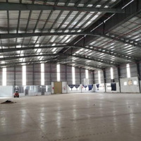 Cho Thuê Gấp Kho Xưởng 20,000 M2 Tại Khu Công Nghiệp Hải Sơn, Huyện Đức Hòa Tỉnh Long Long An