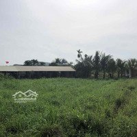 Bán Đất Chính Chủ Đức Lập Thượng Đức Hoà Long An