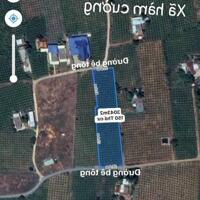 Bán đất ngợp Hàm Thuận Nam giá đầu tư
