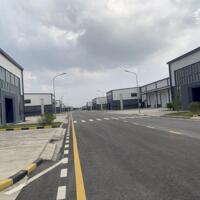 warehouse and factory for rent Vsip industrial Hai Duong